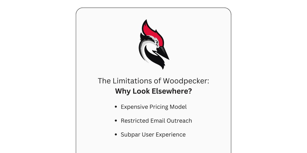 The Limitations of Woodpecker Limitations of woodpecker: expensive pricing model, restricted email outreach, subpar user experience