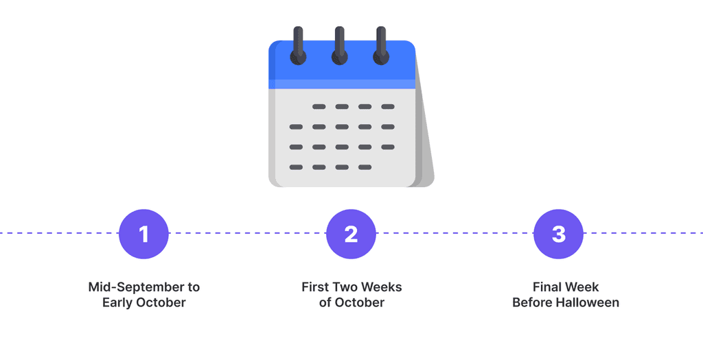 email marketing when to send halloween emails