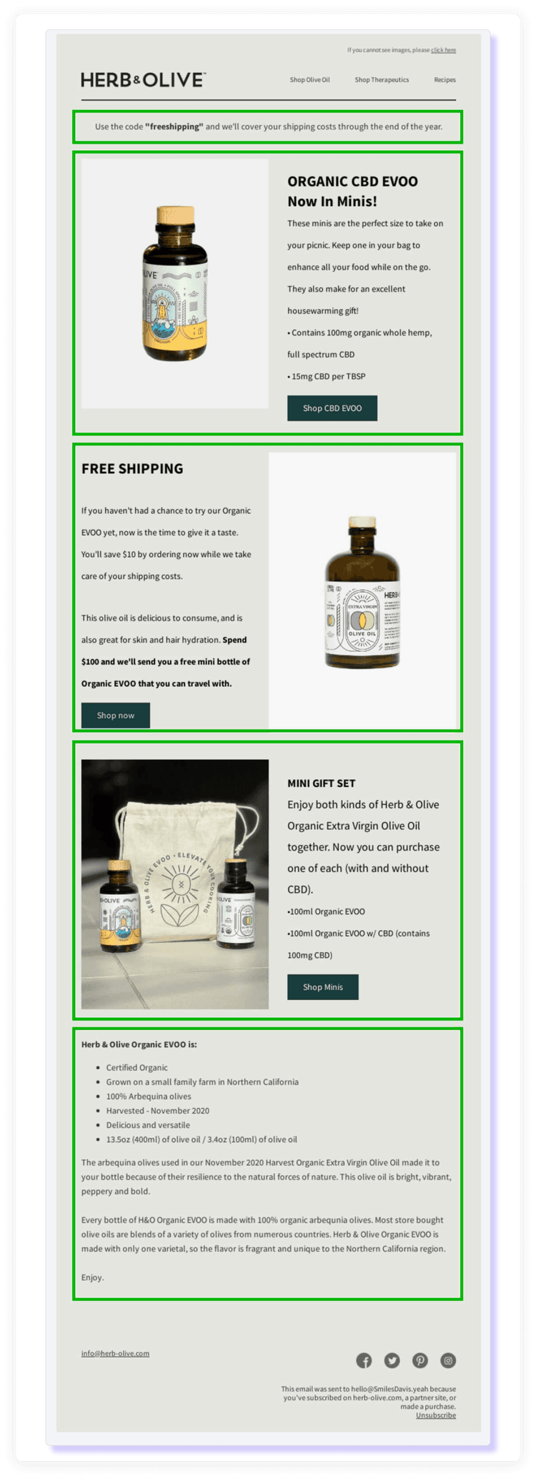 Master Email Template Sizes for Perfectly Designed Campaigns